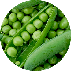 Изображение раздела «Peas»