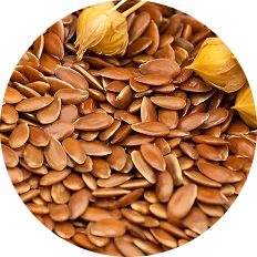 Изображение раздела «Flax»